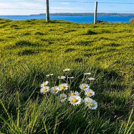 Freaghcastle House